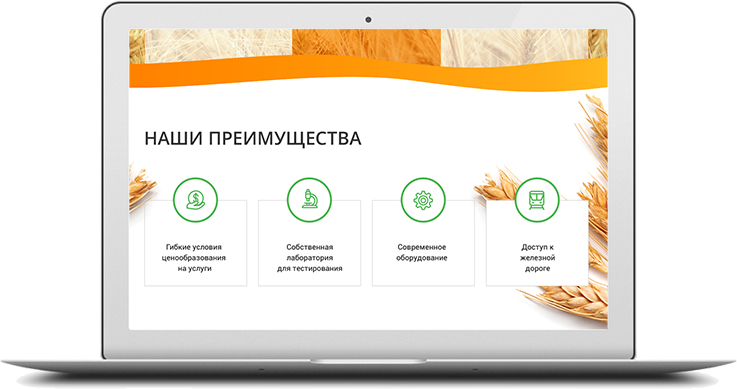 http://web4site13.ru/wp-content/uploads/2018/06/project-desktop-img-5-737x389.png